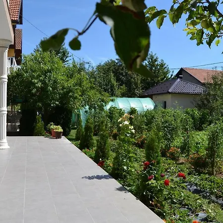 Organic Garden Ilidža